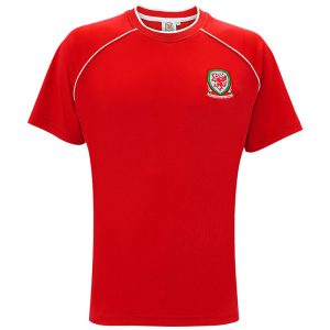 Wales adults t-shirt